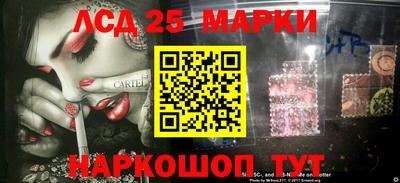 гидропоника Рязань