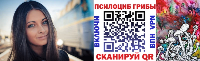 купить закладку  Сунжа  Псилоцибиновые грибы прущие грибы 
