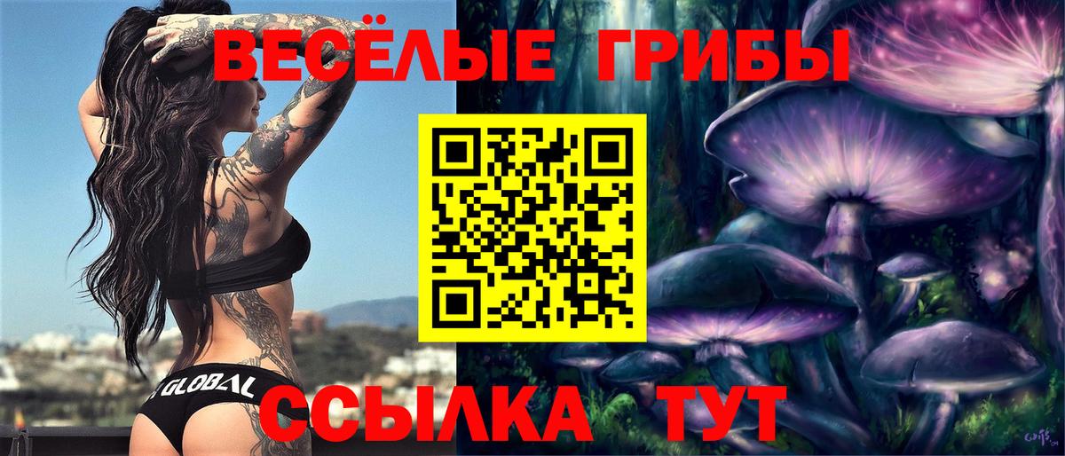 магазин  наркотиков  Вход с VPN  Псилоцибиновые грибы мухоморы  Сунжа  Псилоцибиновые грибы Cubensis 
