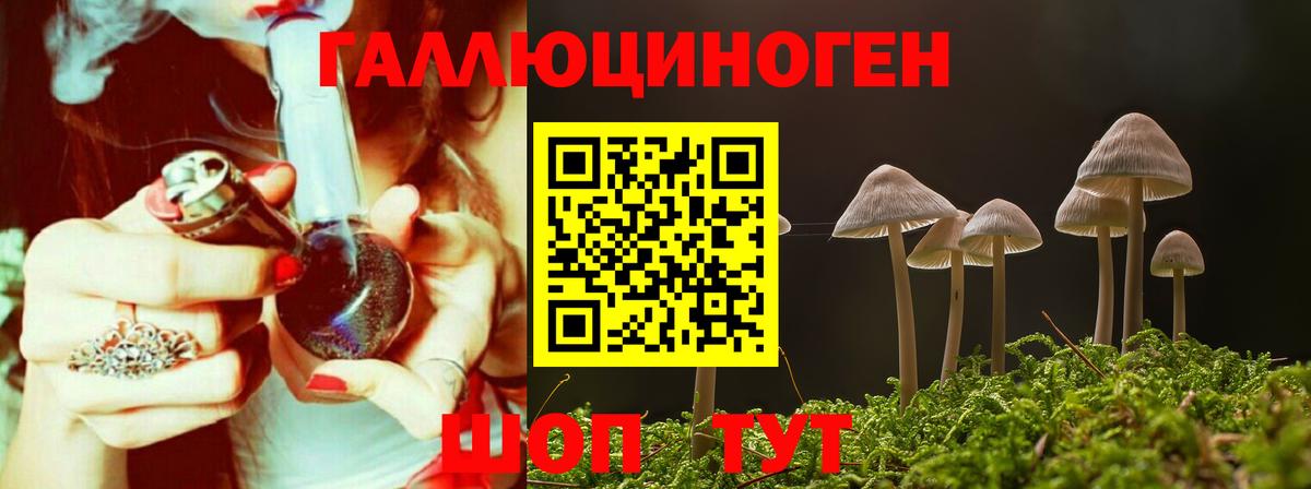 Галлюциногенные грибы мицелий Сунжа